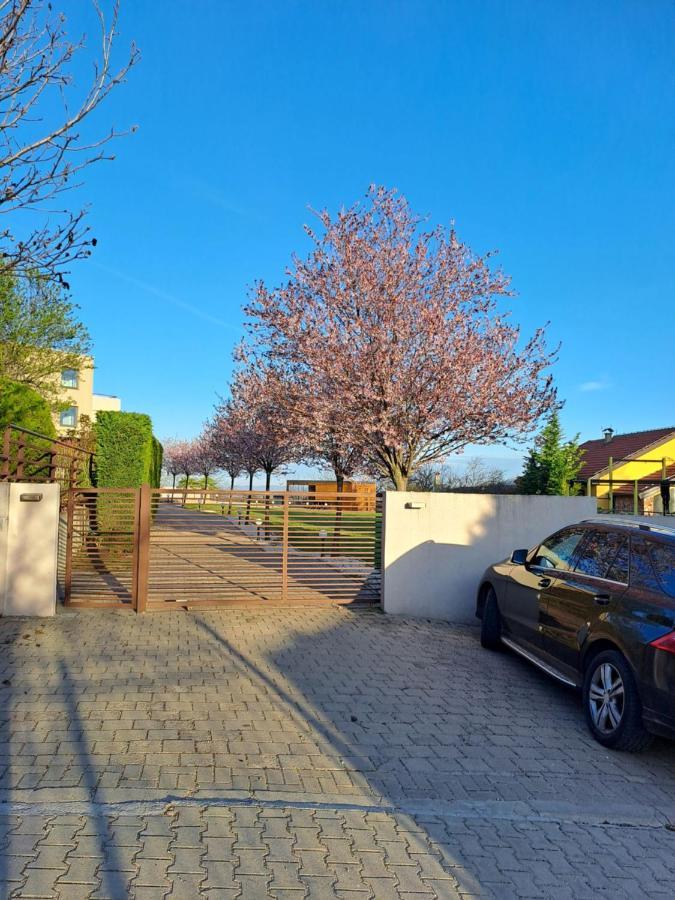 Villa Sunny Side Apartment Skopje Dolno Solnje Bagian luar foto